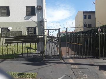 Alugar Apartamento / Padrão em Ribeirão Preto. apenas R$ 140.000,00