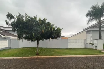 Terreno / Padrão em Ribeirão Preto , Comprar por R$514.000,00