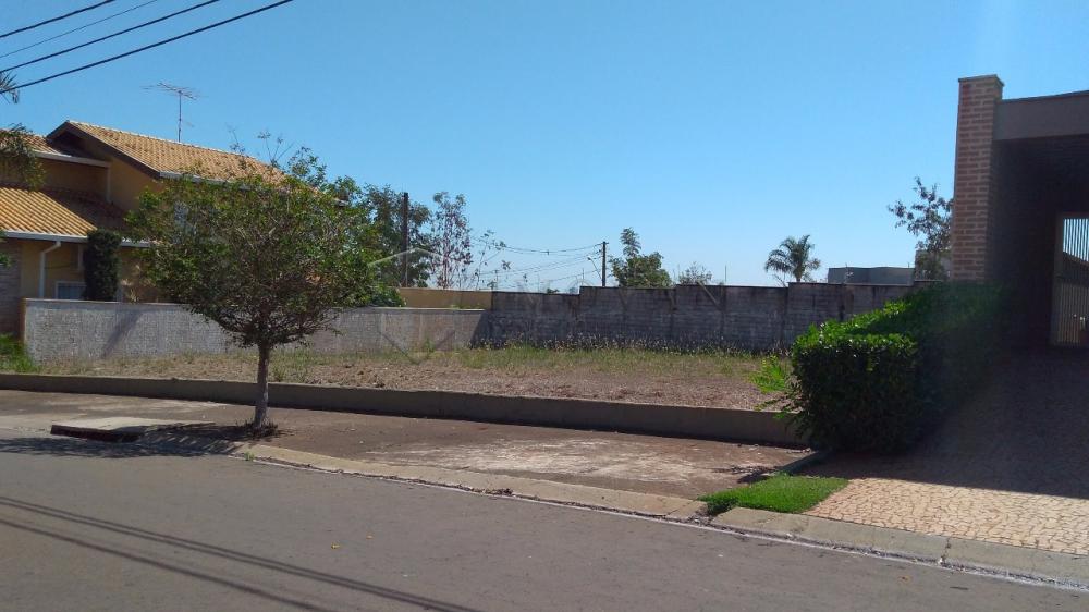 Comprar Terreno / Condomínio em Bonfim Paulista R$ 260.000,00 - Foto 3