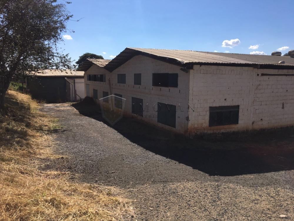 Comprar Comercial / Galpão em São Simão R$ 1.200.000,00 - Foto 2