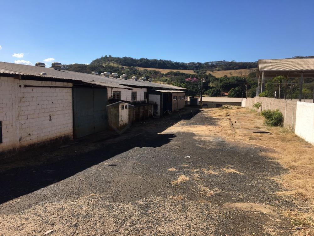 Comprar Comercial / Galpão em São Simão R$ 1.200.000,00 - Foto 3