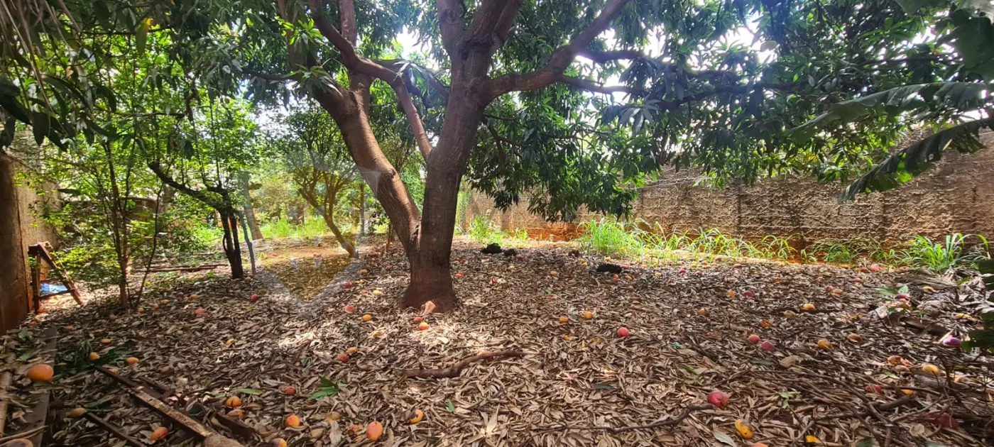 Alugar Terreno / Padrão em Ribeirão Preto R$ 1.800,00 - Foto 3