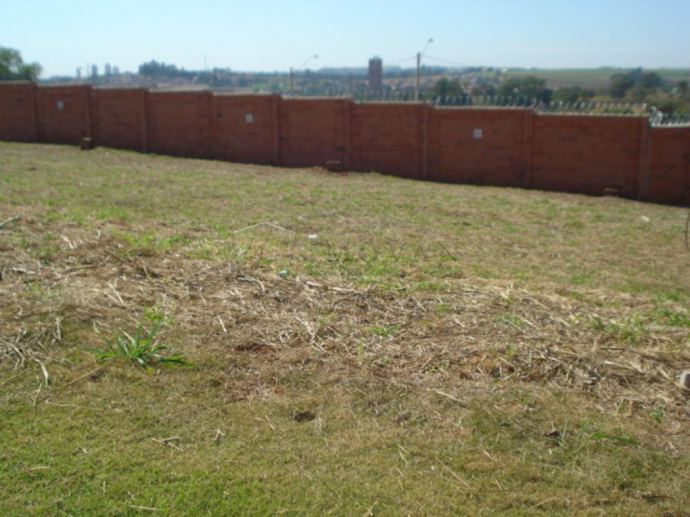 Comprar Terreno / Padrão em Bonfim Paulista R$ 230.000,00 - Foto 2