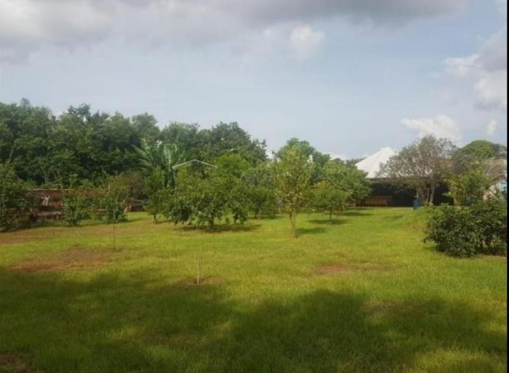 Comprar Terreno / Padrão em Ribeirão Preto R$ 5.380.000,00 - Foto 4