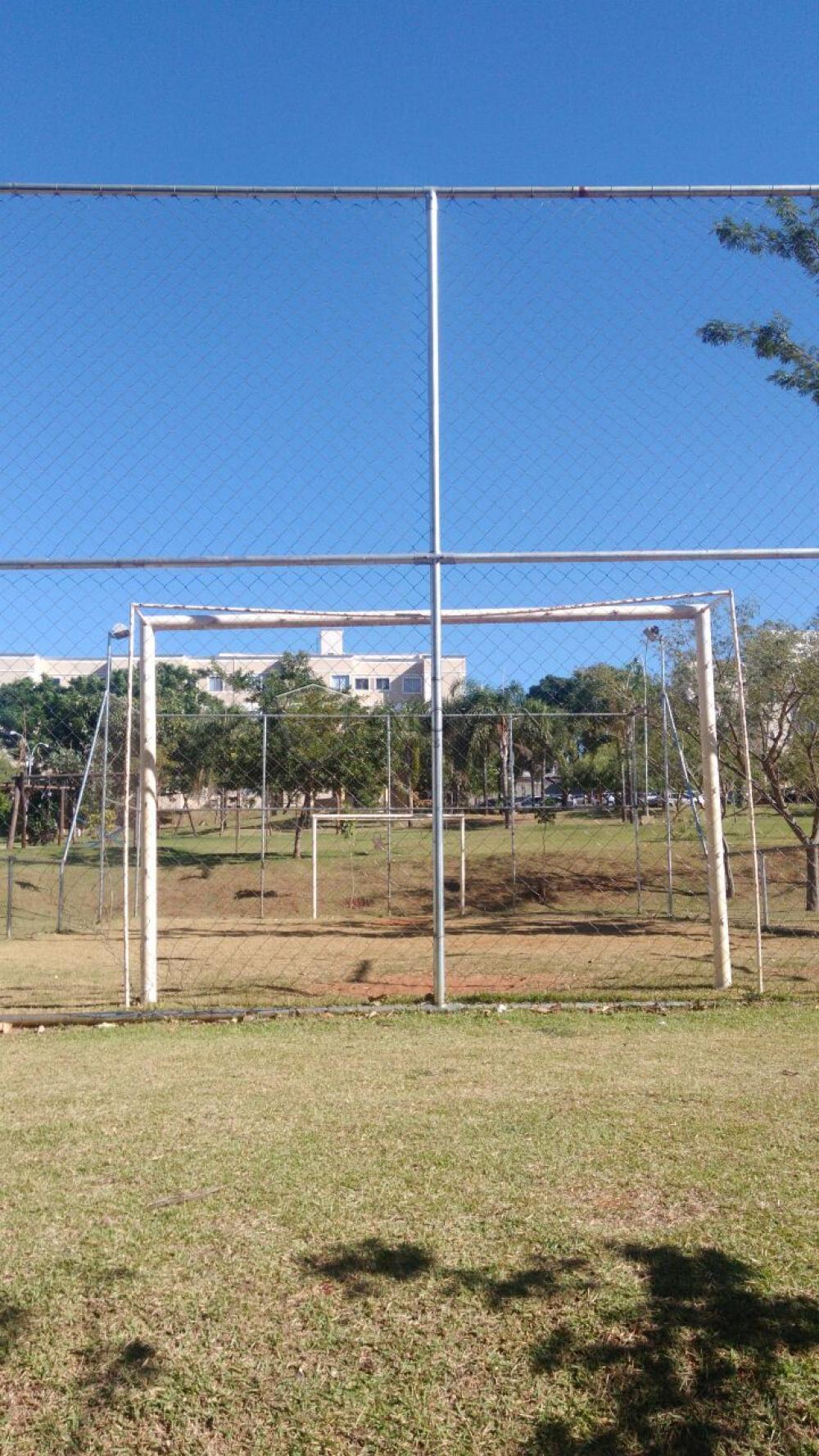 Alugar Apartamento / Padrão em Ribeirão Preto R$ 650,00 - Foto 18