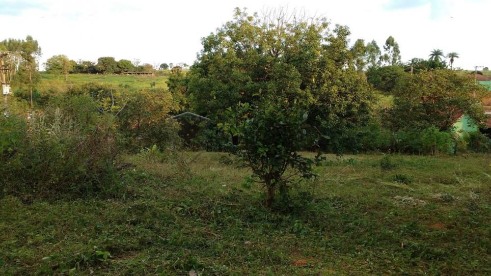 Comprar Rural / Chácara em São Sebastião do Paraíso R$ 900.000,00 - Foto 22