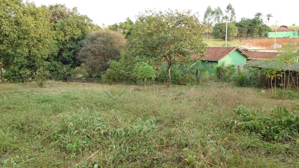 Comprar Rural / Chácara em São Sebastião do Paraíso R$ 900.000,00 - Foto 23