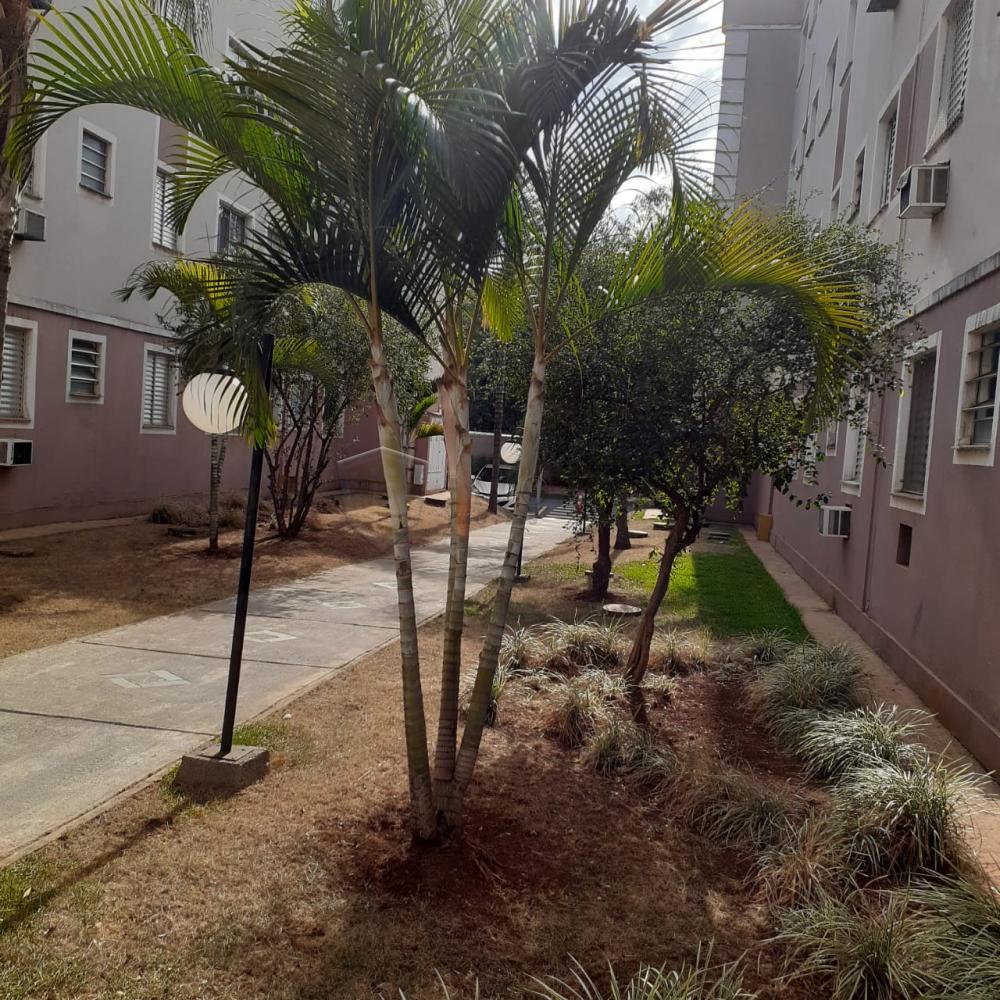 Comprar Apartamento / Padrão em Ribeirão Preto R$ 149.000,00 - Foto 13