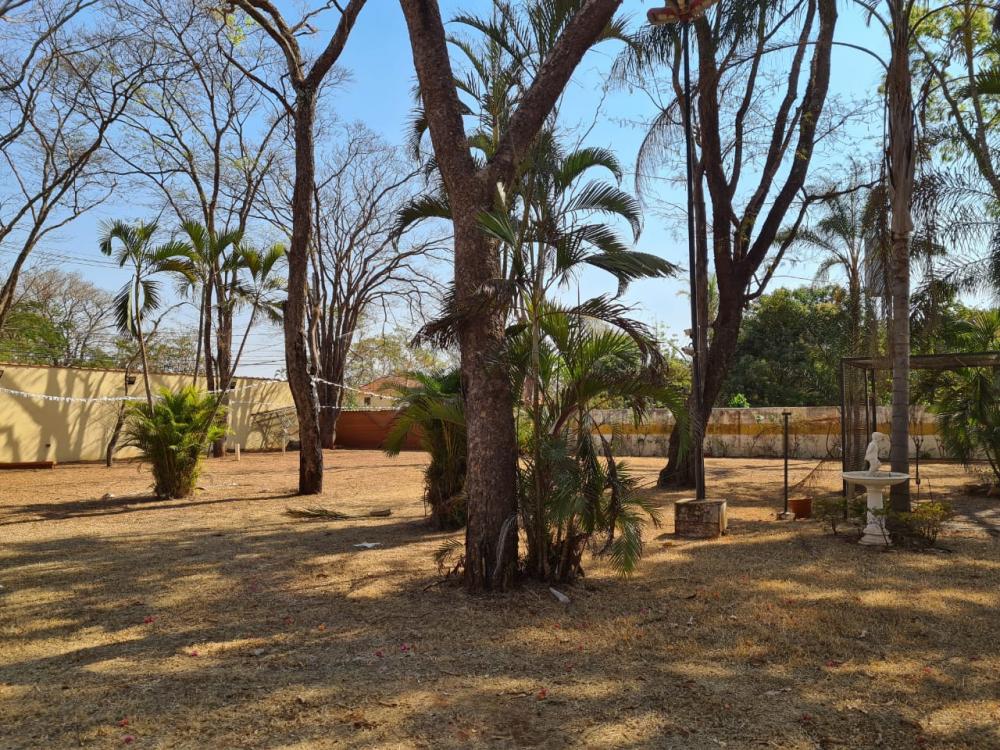 Comprar Rural / Chácara em Ribeirão Preto R$ 1.920.000,00 - Foto 17