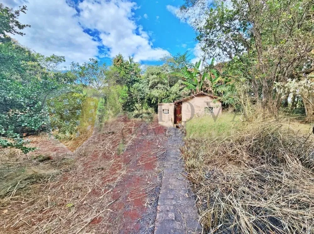 Comprar Rural / Chácara em Ribeirão Preto R$ 500.000,00 - Foto 9