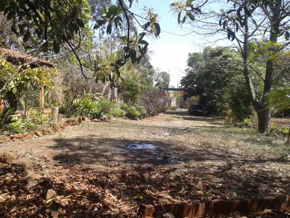 Comprar Rural / Chácara em Ribeirão Preto R$ 500.000,00 - Foto 5