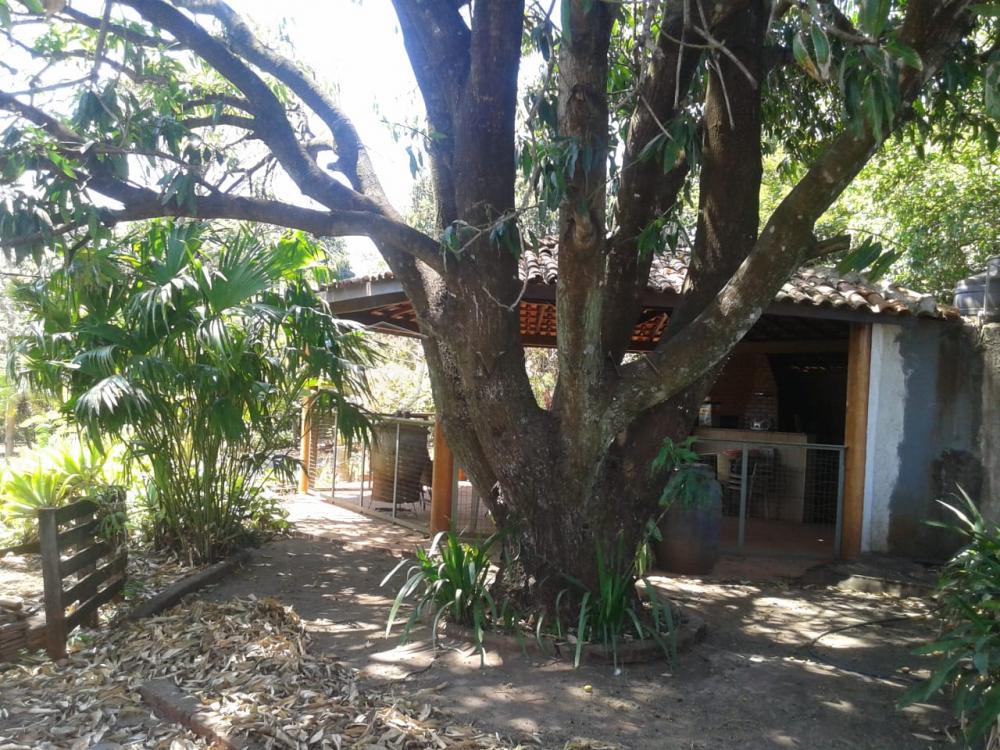 Comprar Rural / Chácara em Ribeirão Preto R$ 500.000,00 - Foto 8