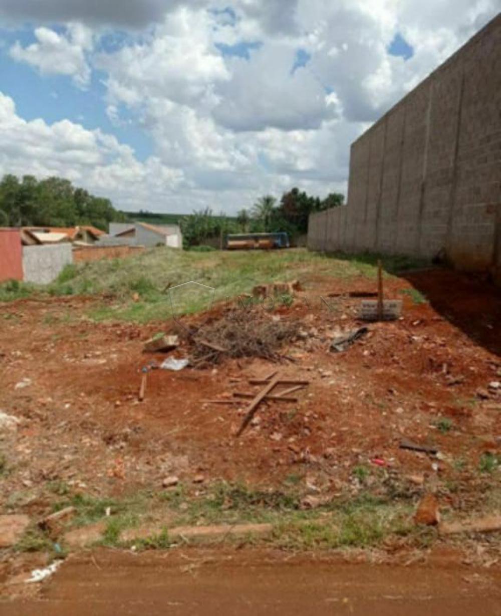 Comprar Terreno / Padrão em Sertãozinho R$ 110.000,00 - Foto 3