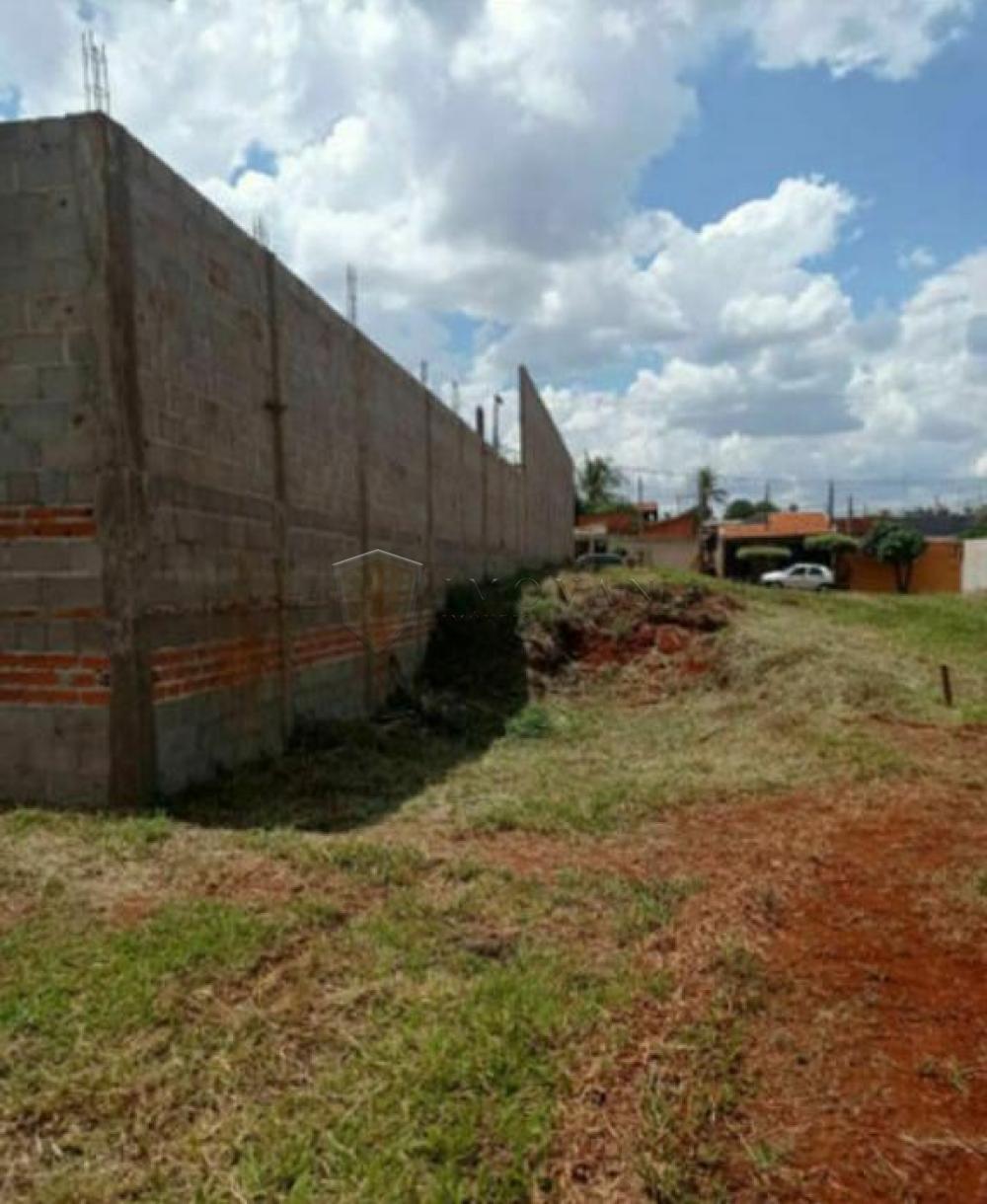 Comprar Terreno / Padrão em Sertãozinho R$ 110.000,00 - Foto 2