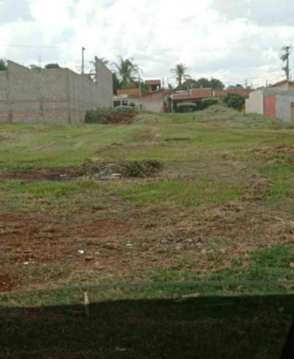 Comprar Terreno / Padrão em Sertãozinho R$ 110.000,00 - Foto 1