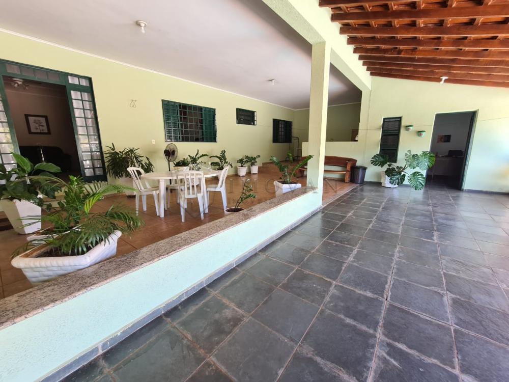 Comprar Rural / Chácara em Ribeirão Preto R$ 700.000,00 - Foto 18