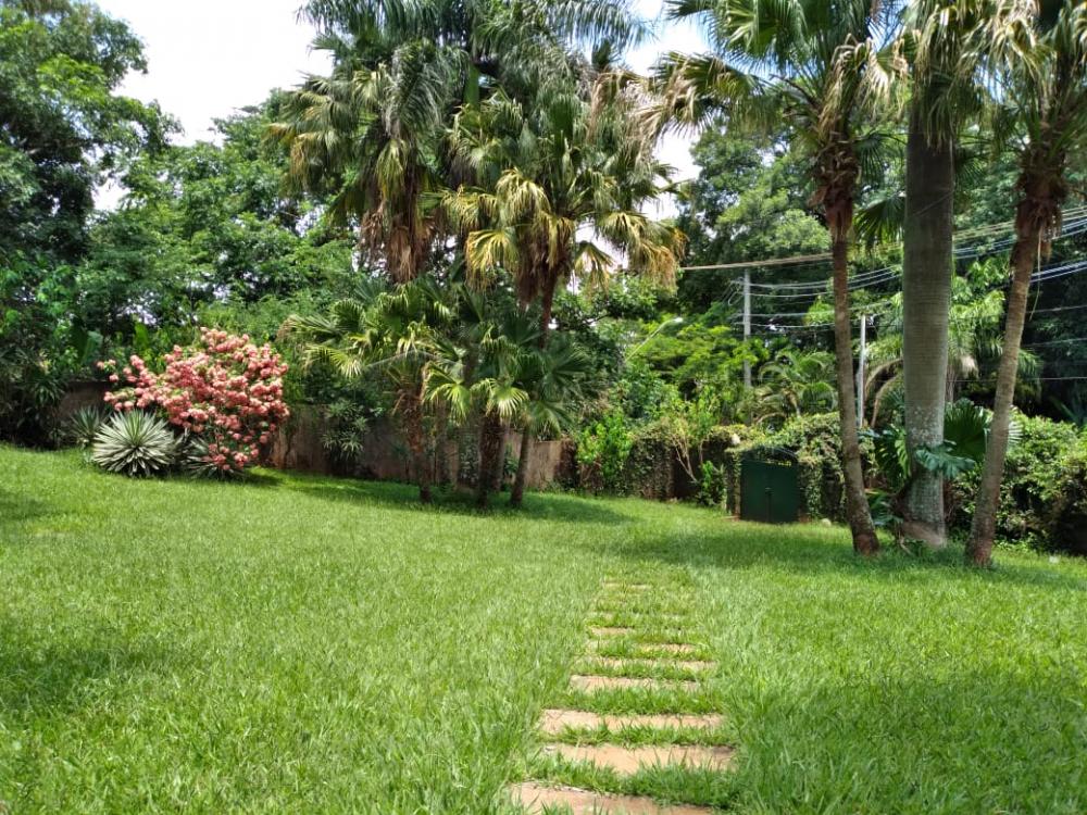 Comprar Rural / Chácara em São Simão R$ 1.500.000,00 - Foto 18