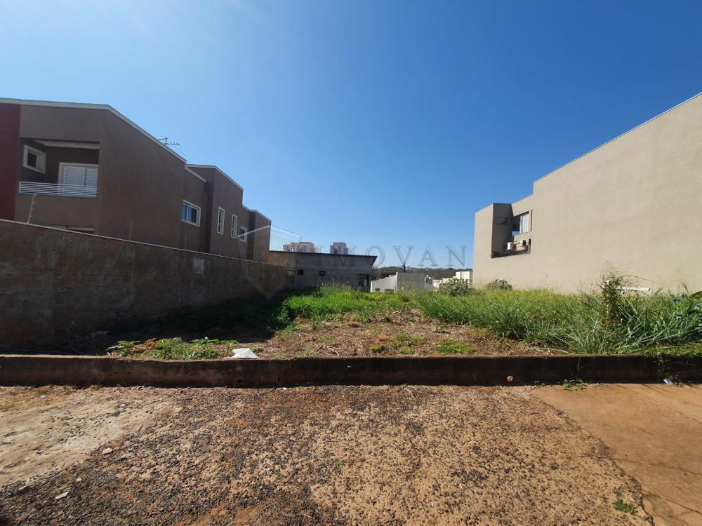 Alugar Terreno / Padrão em Ribeirão Preto R$ 2.800,00 - Foto 3