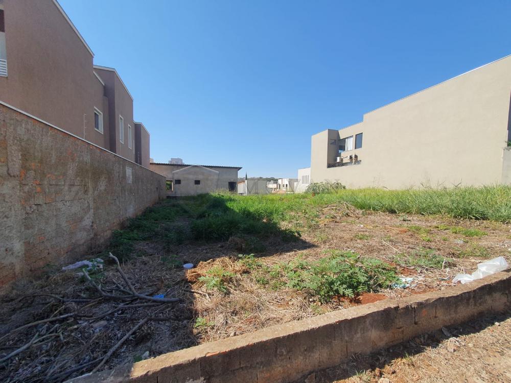 Alugar Terreno / Padrão em Ribeirão Preto R$ 2.800,00 - Foto 4