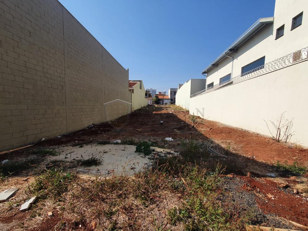 Comprar Terreno / Padrão em Ribeirão Preto R$ 970.000,00 - Foto 1