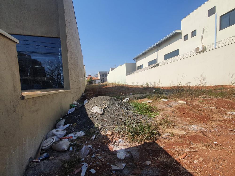 Comprar Terreno / Padrão em Ribeirão Preto R$ 970.000,00 - Foto 2