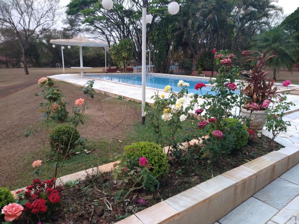 Comprar Rural / Chácara em Ribeirao Preto R$ 830.000,00 - Foto 3