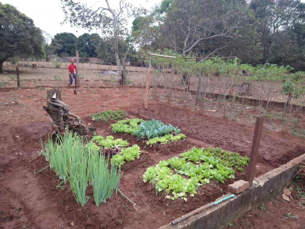 Comprar Rural / Chácara em Ribeirao Preto R$ 830.000,00 - Foto 6