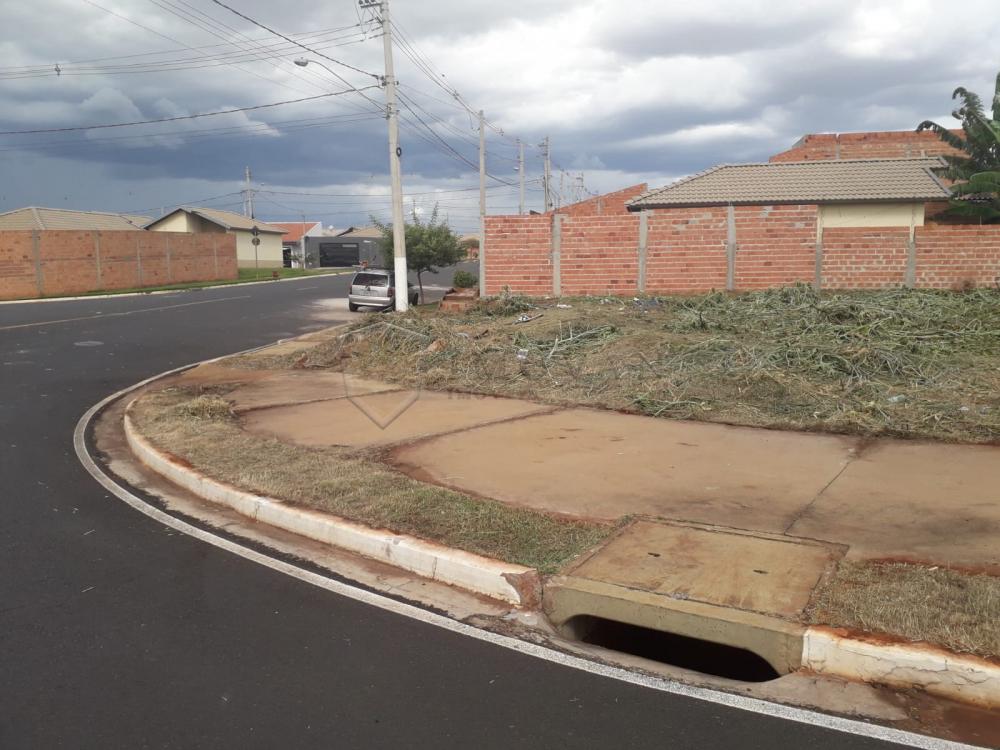 Comprar Terreno / Padrão em Ribeirão Preto R$ 226.000,00 - Foto 2