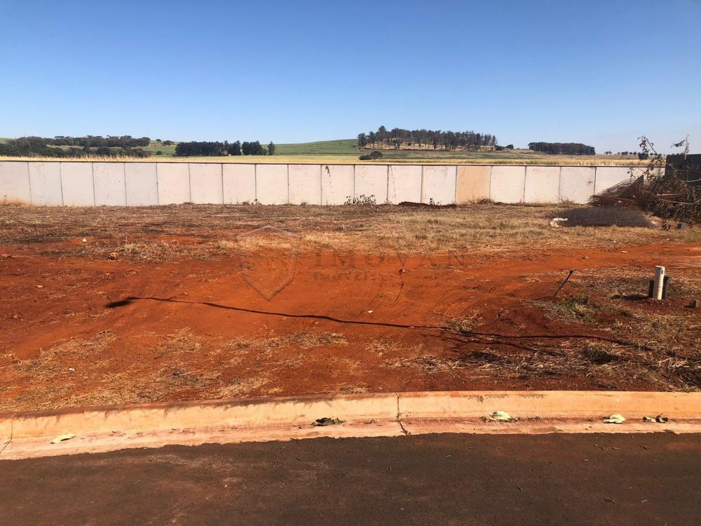 Comprar Terreno / Condomínio em Ribeirão Preto R$ 420.000,00 - Foto 2