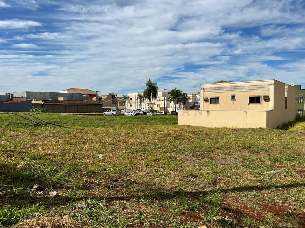 Comprar Terreno / Padrão em Ribeirão Preto R$ 549.000,00 - Foto 2