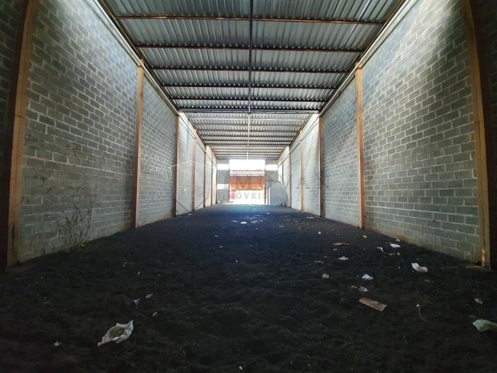 Alugar Comercial / Galpão em Ribeirão Preto R$ 4.000,00 - Foto 4