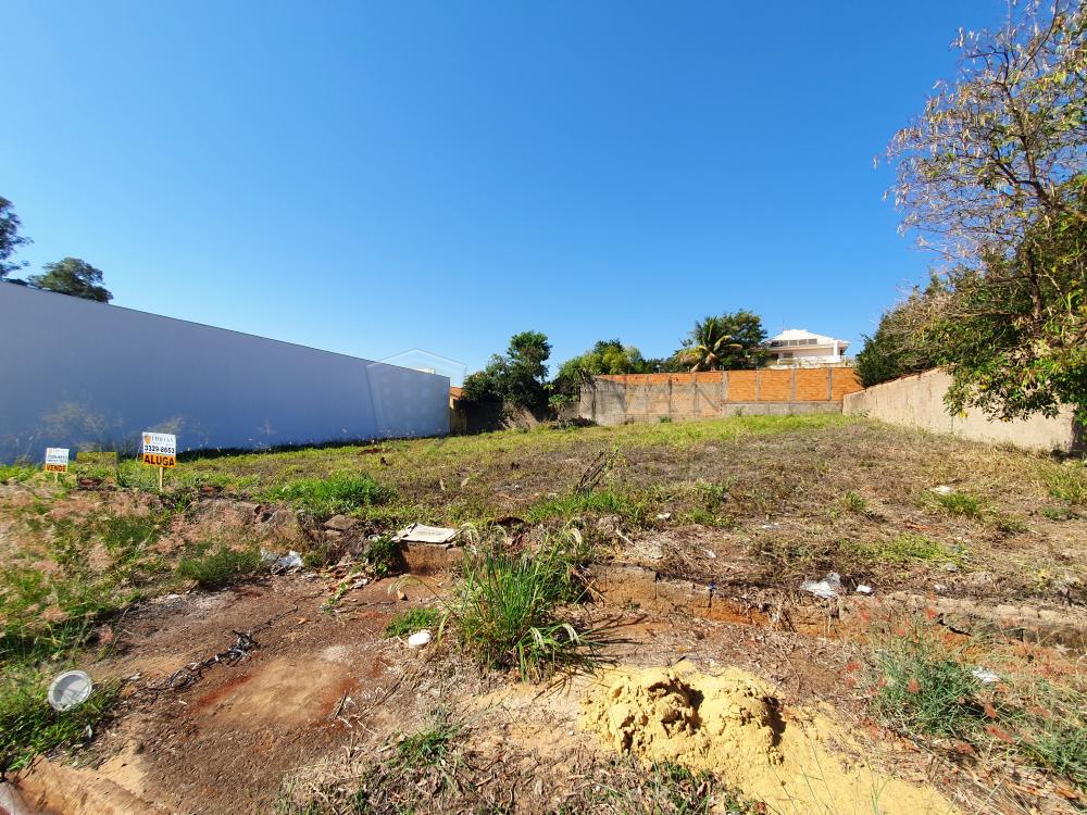 Alugar Terreno / Padrão em Ribeirão Preto R$ 7.000,00 - Foto 3