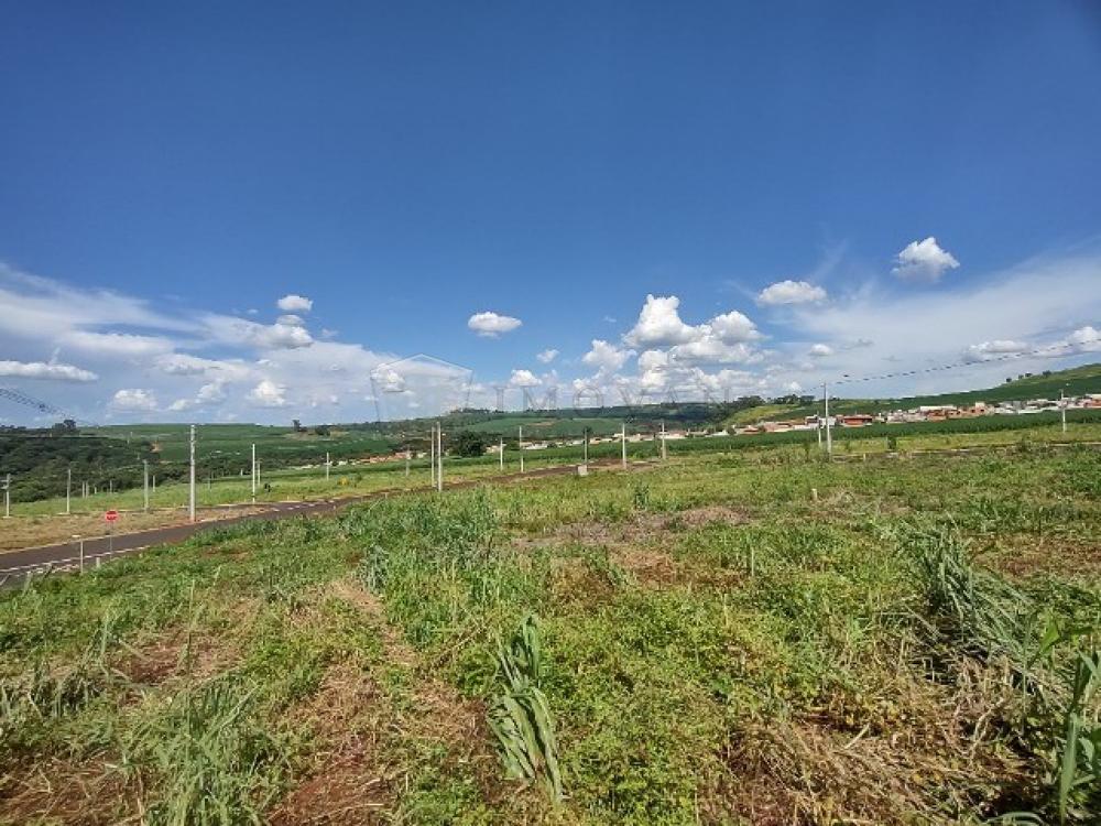 Comprar Terreno / Padrão em Ribeirão Preto R$ 175.000,00 - Foto 1