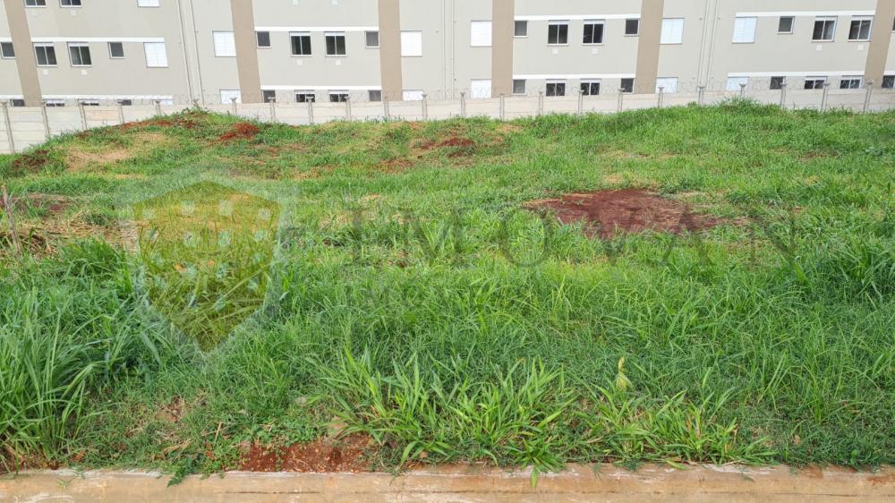 Comprar Terreno / Padrão em Ribeirão Preto R$ 190.000,00 - Foto 2