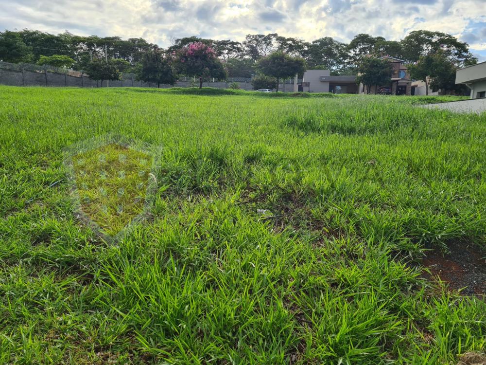 Comprar Terreno / Padrão em Ribeirão Preto R$ 175.000,00 - Foto 2