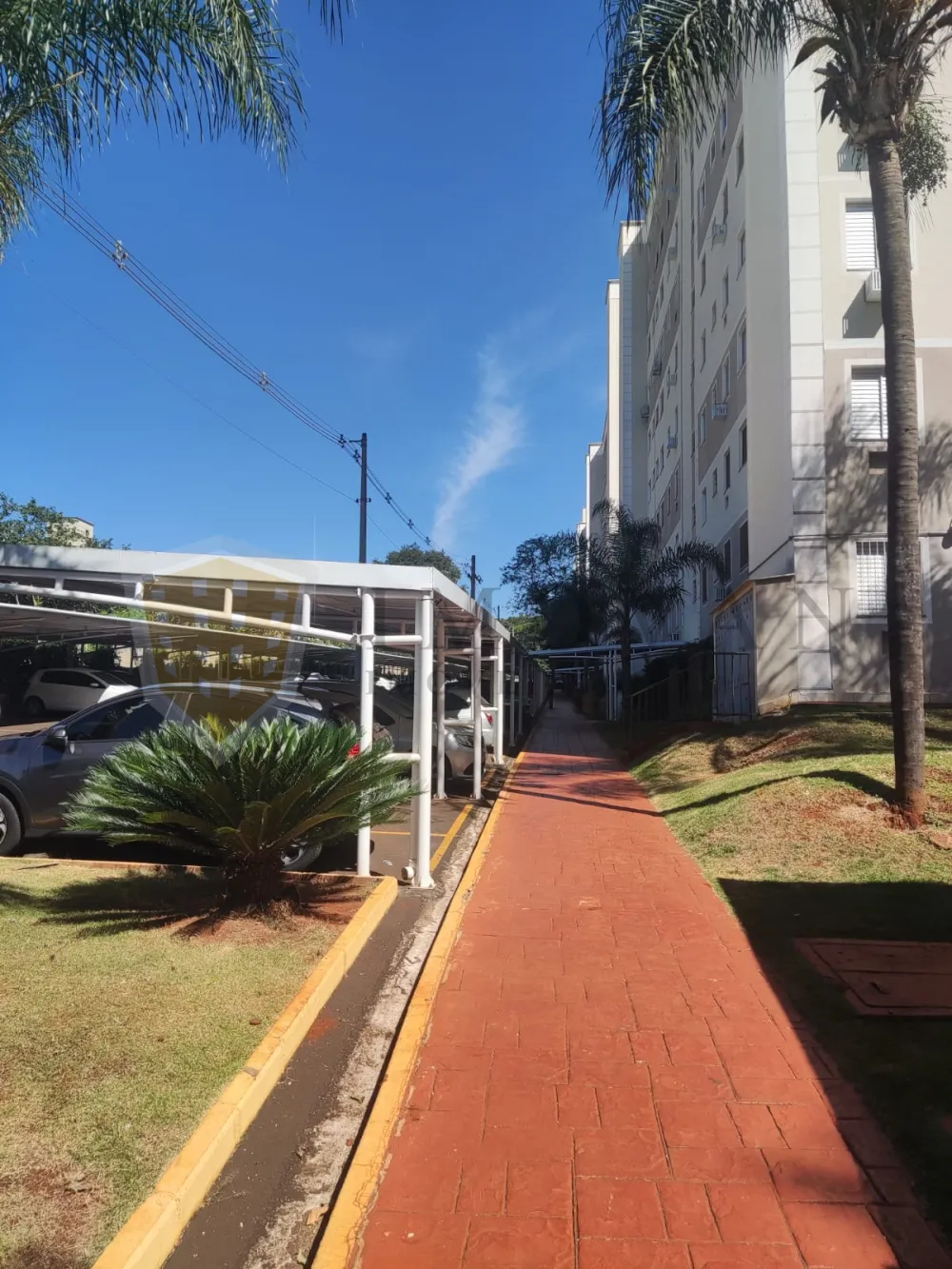 Comprar Apartamento / Padrão em Ribeirão Preto R$ 180.000,00 - Foto 13