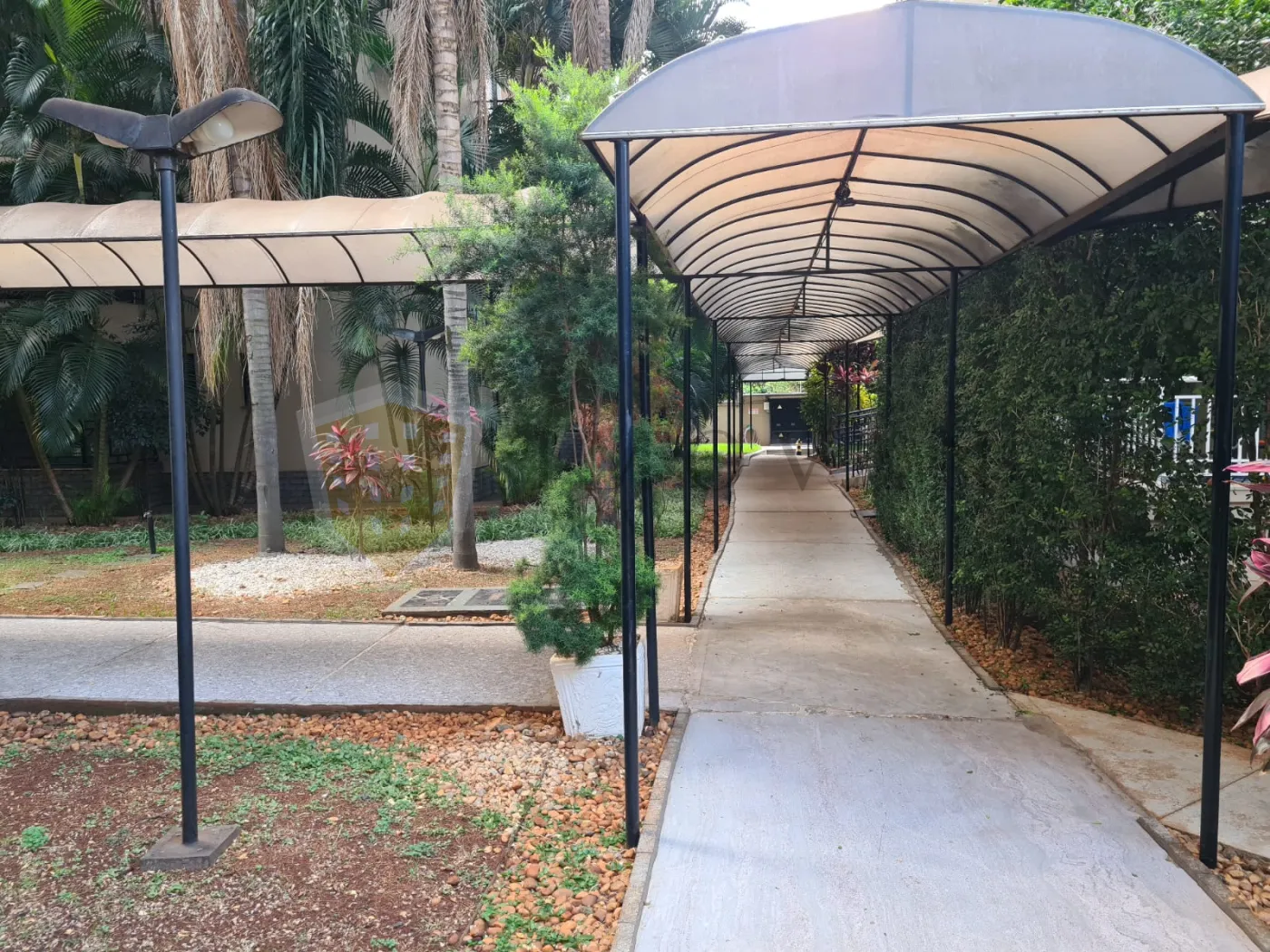 Alugar Apartamento / Padrão em Ribeirão Preto R$ 2.250,00 - Foto 21