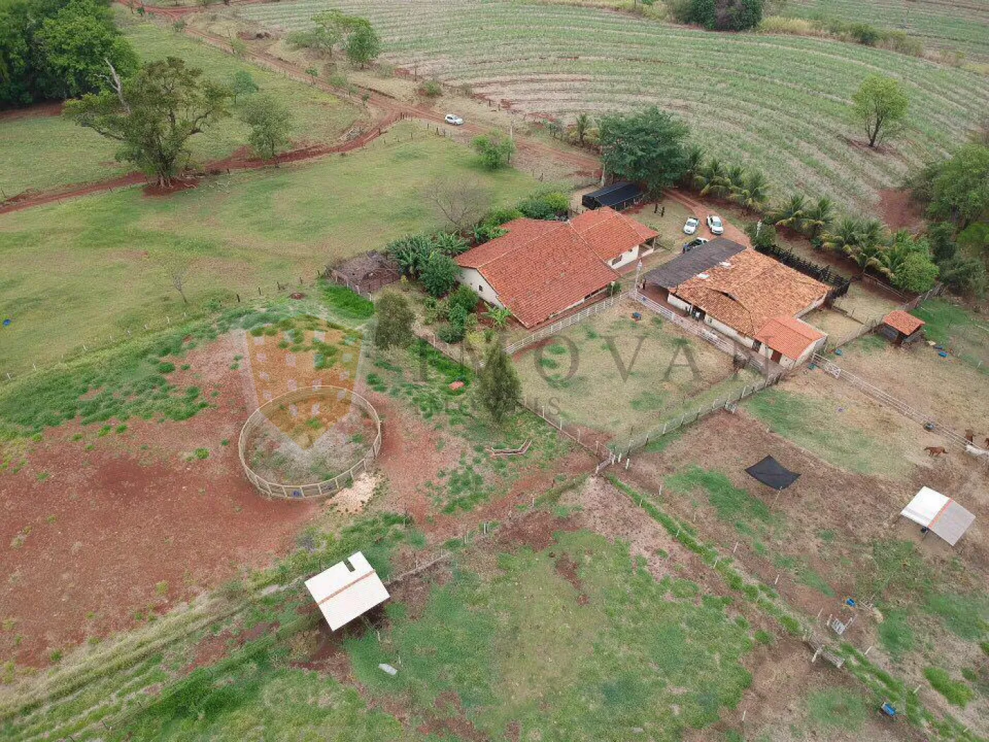 Comprar Rural / Sítio em São Simão R$ 2.000.000,00 - Foto 13