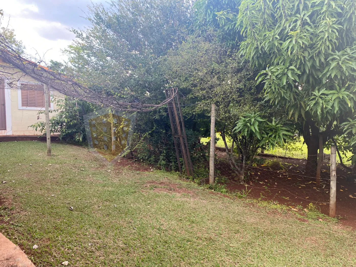 Comprar Rural / Sítio em São Simão R$ 2.000.000,00 - Foto 12