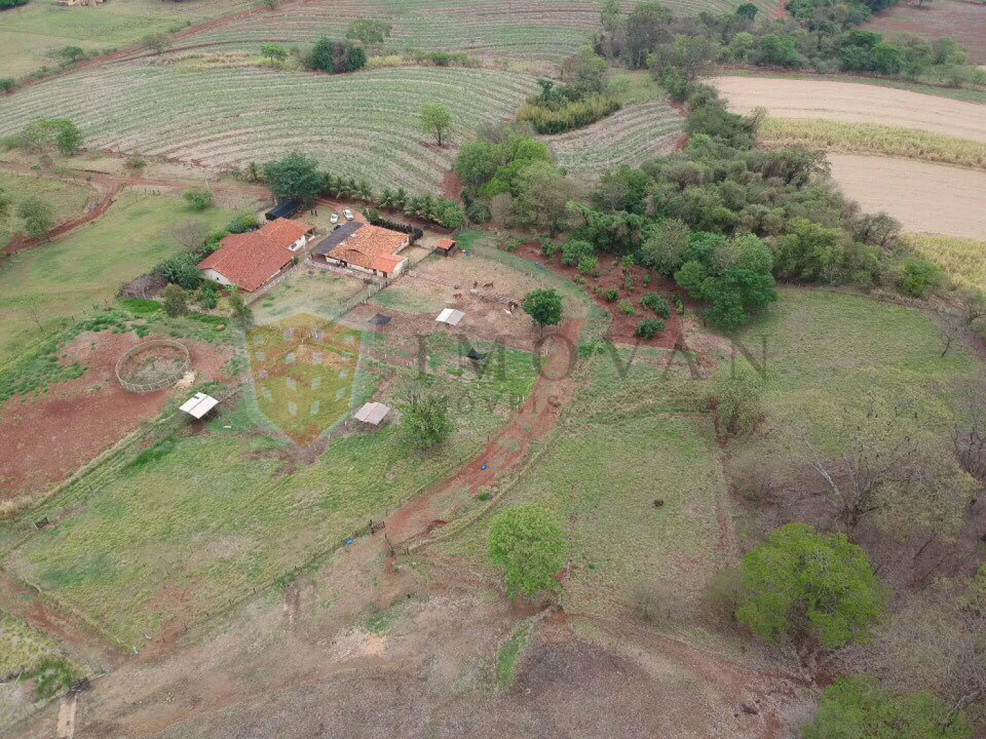 Comprar Rural / Sítio em São Simão R$ 2.000.000,00 - Foto 19