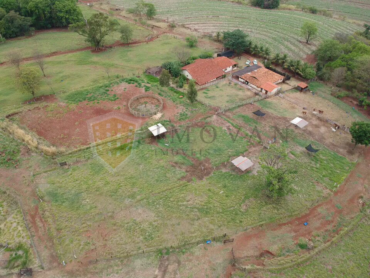 Comprar Rural / Sítio em São Simão R$ 2.000.000,00 - Foto 20