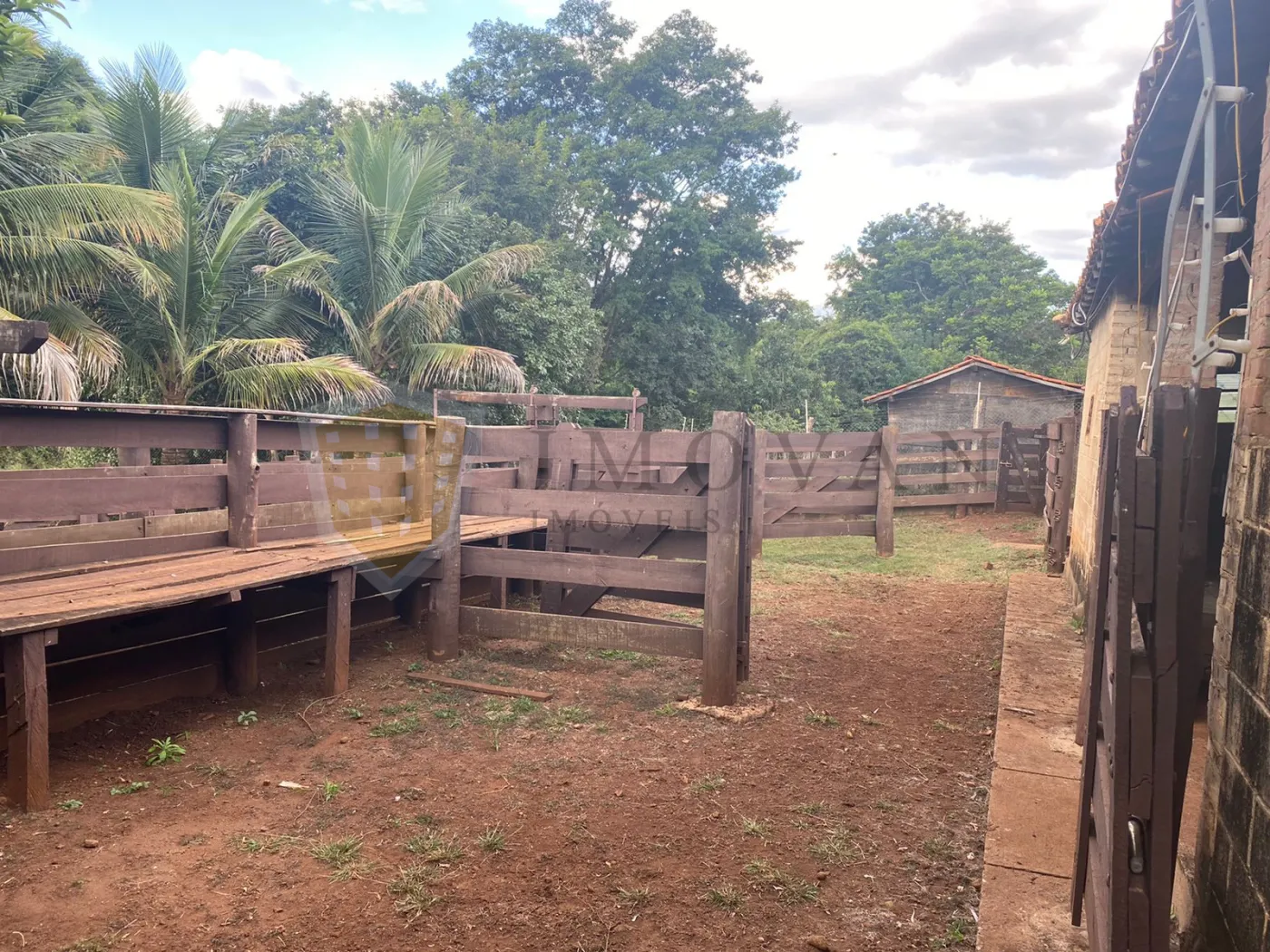 Comprar Rural / Sítio em São Simão R$ 2.000.000,00 - Foto 21