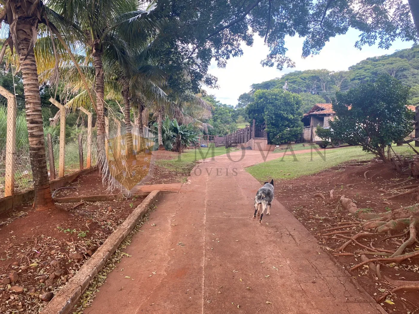 Comprar Rural / Sítio em São Simão R$ 2.000.000,00 - Foto 1