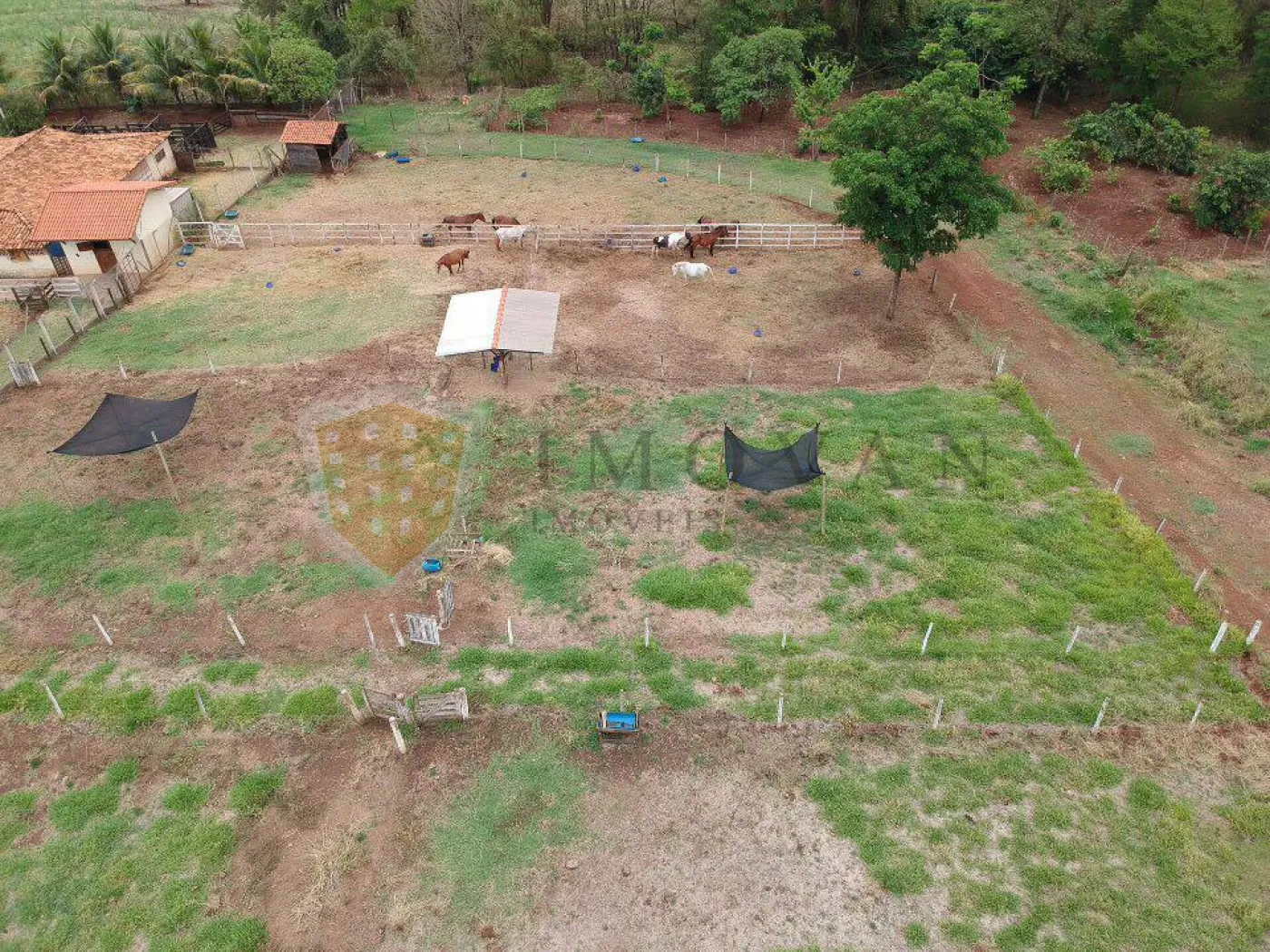 Comprar Rural / Sítio em São Simão R$ 2.000.000,00 - Foto 23