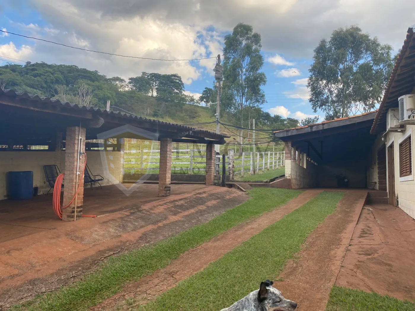 Comprar Rural / Sítio em São Simão R$ 2.000.000,00 - Foto 25