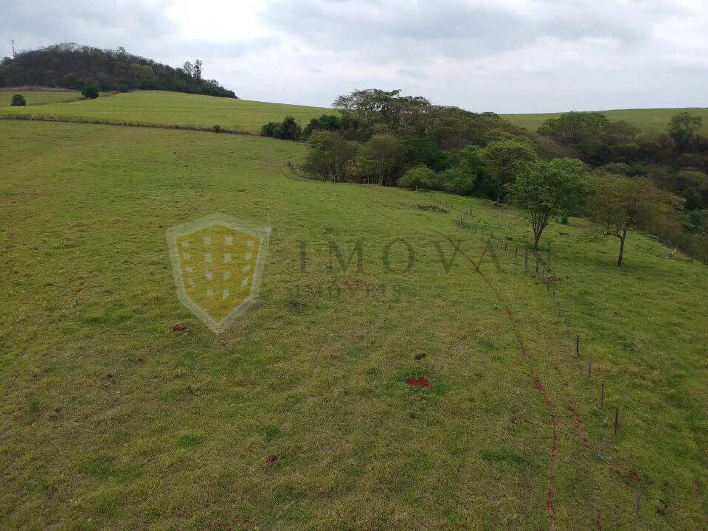 Comprar Rural / Sítio em São Simão R$ 2.000.000,00 - Foto 28