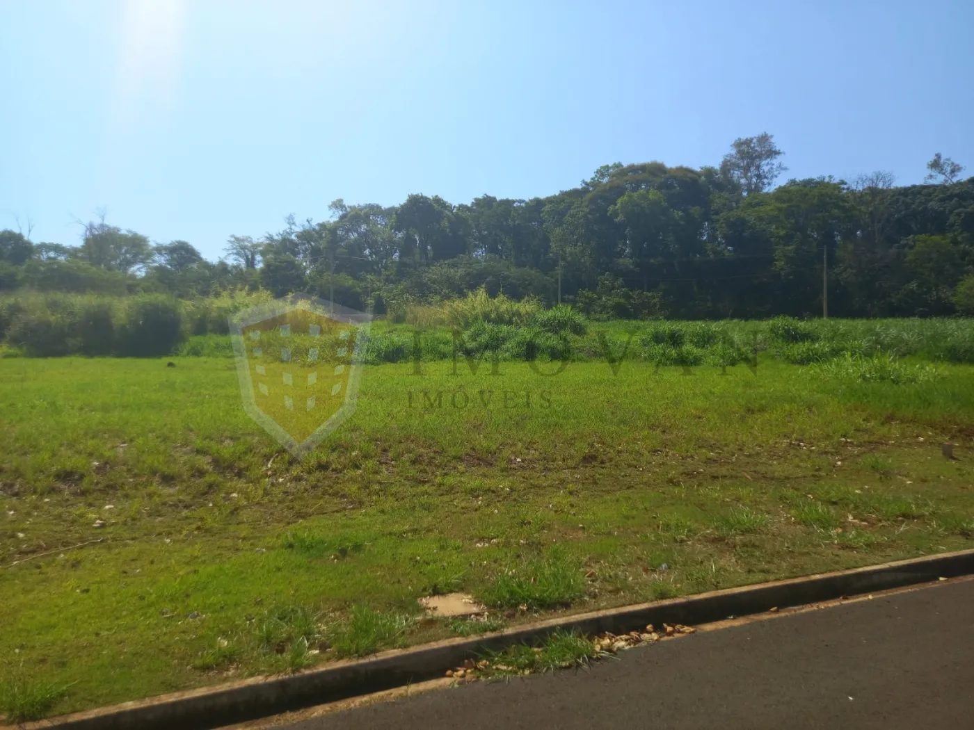 Comprar Terreno / Condomínio em Ribeirão Preto R$ 265.000,00 - Foto 3
