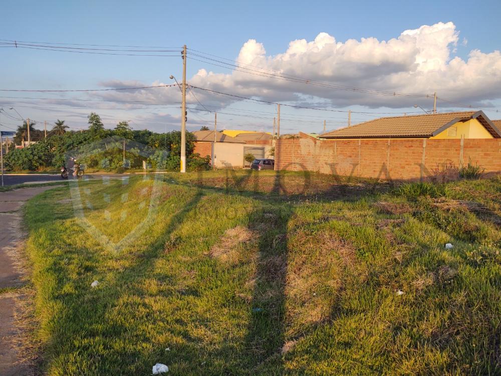 Comprar Terreno / Padrão em Ribeirão Preto R$ 230.000,00 - Foto 6