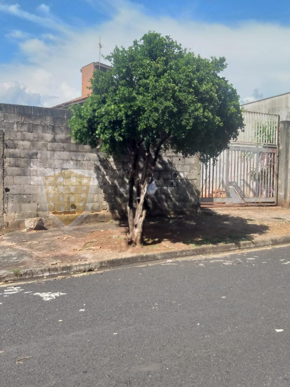 Comprar Terreno / Padrão em Ribeirão Preto R$ 230.000,00 - Foto 2