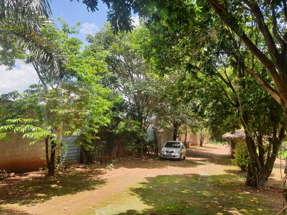 Comprar Rural / Chácara em Jardinópolis R$ 330.000,00 - Foto 13